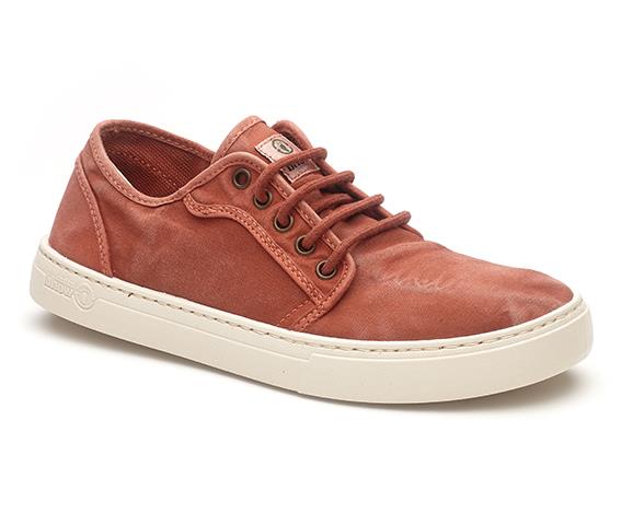 6602E Old Narciso - Wine